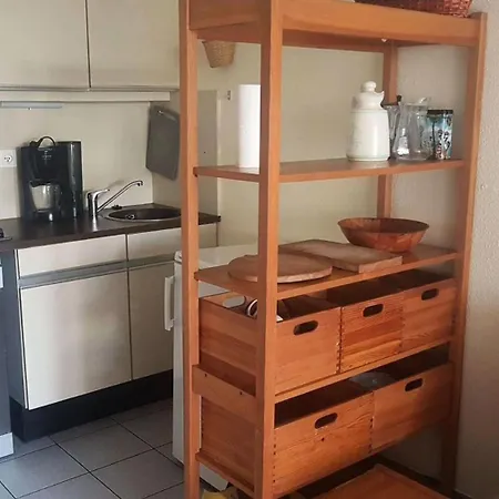 Apartment Parc Et Avenue Dominica - 2 Pieces Au Rez-de-chaussee A - Cap Coudalere Mae-8324